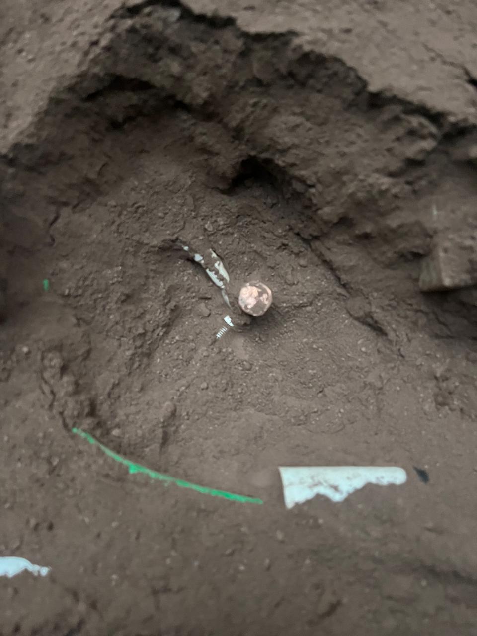 WhatsApp Image 2025-08-05 at 1.24.06 PM (1)